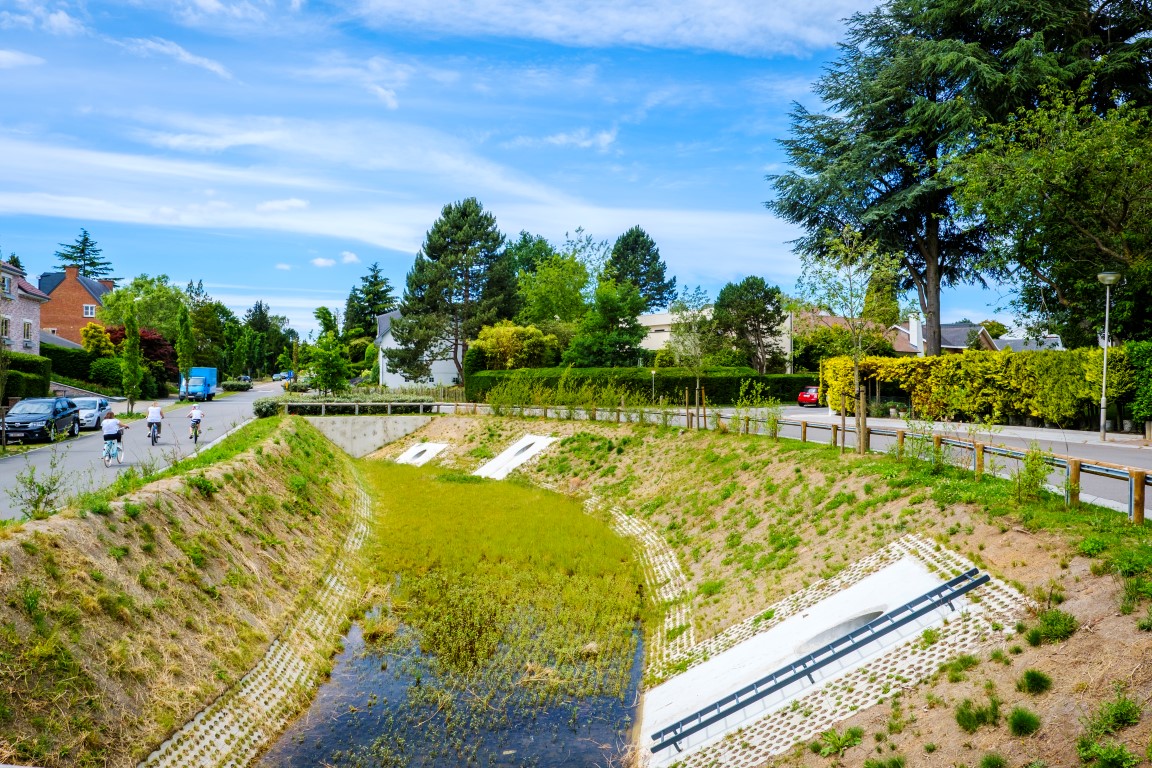 Nieuwe website inspireert om ruimte te maken voor water