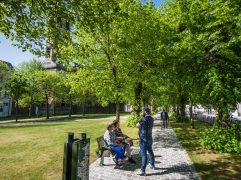 Tongeren en Rijmenam hebben beste openbare ruimten van Vlaanderen