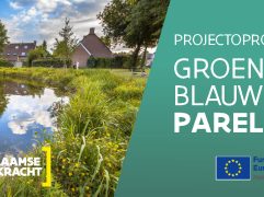 Groenblauwe parels, nieuwe projectsubsidie voor ontharding en groenblauwe inrichting